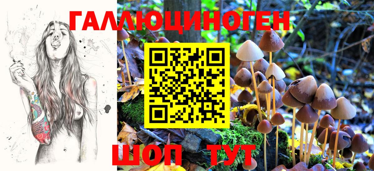 купить наркотик  Псилоцибиновые грибы Psilocybe  Вход с VPN  Мирный 