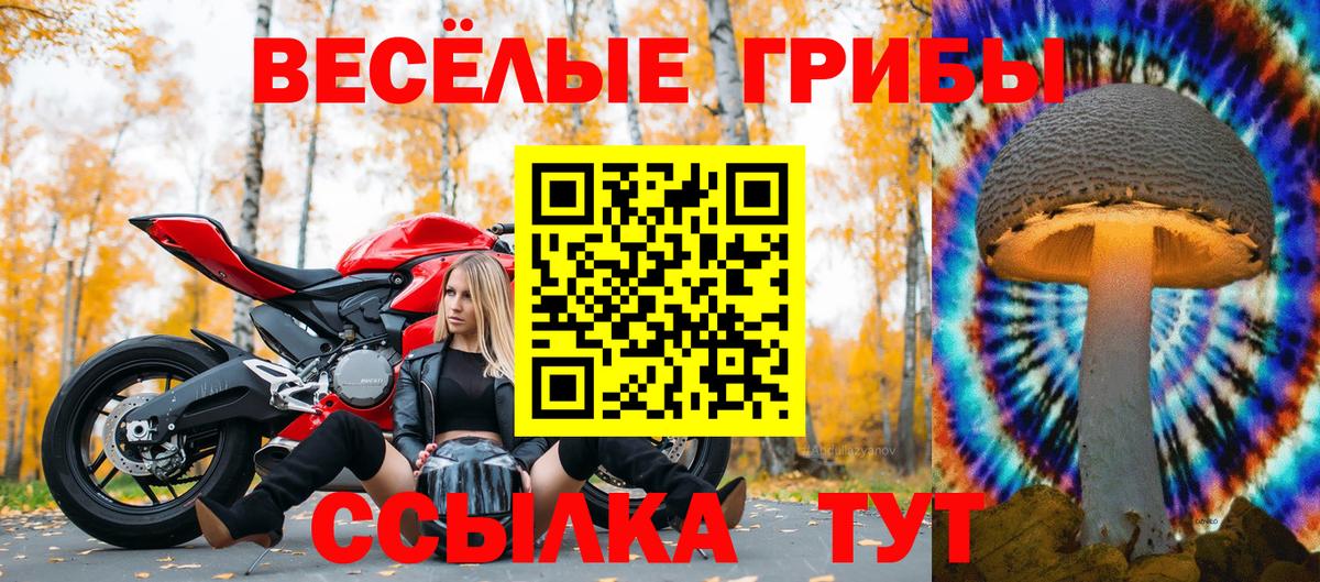 Псилоцибиновые грибы прущие грибы Мирный