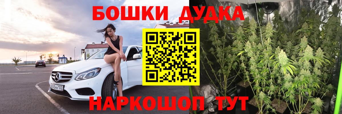 Конопля OG Kush Мирный